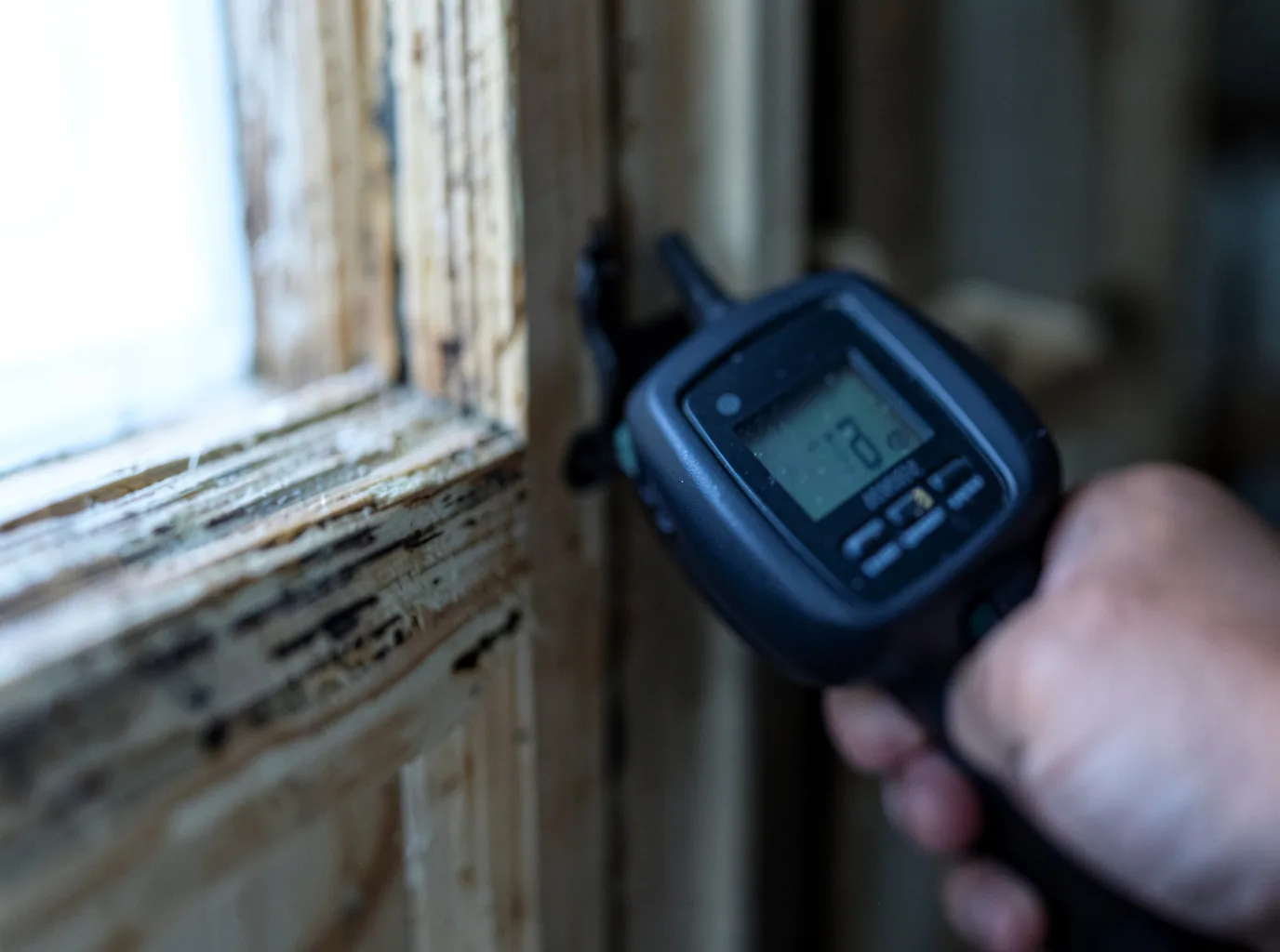 Moisture Inspection And Documentation in North Chatham, MA